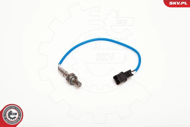 Oxygen Sensor